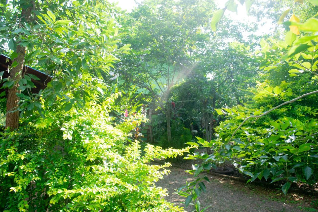 Forest Villa Nature Resort أنرادابورام المظهر الخارجي الصورة