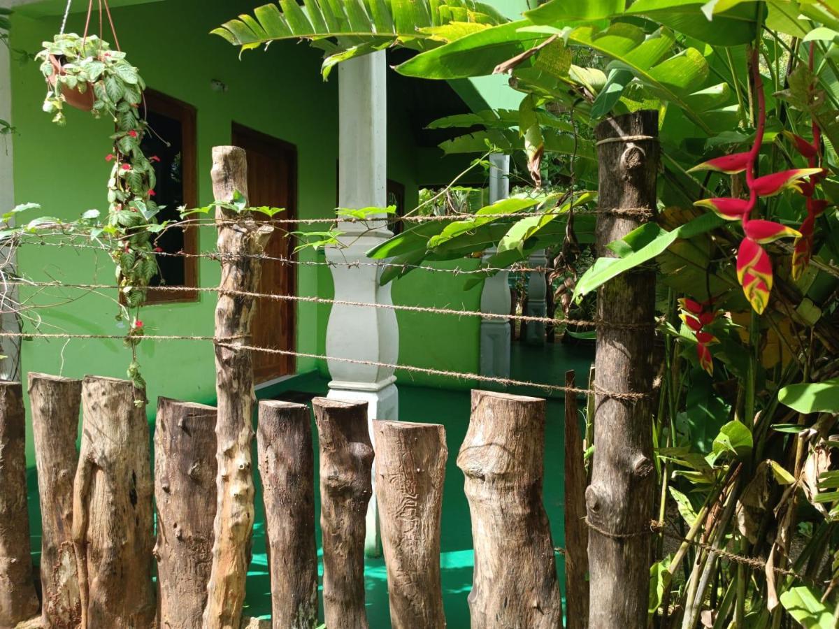 Forest Villa Nature Resort أنرادابورام المظهر الخارجي الصورة