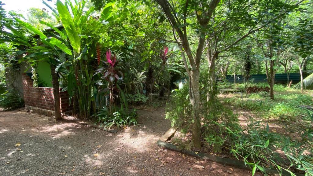 Forest Villa Nature Resort أنرادابورام المظهر الخارجي الصورة