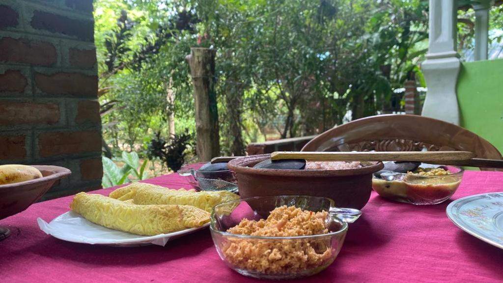 Forest Villa Nature Resort أنرادابورام المظهر الخارجي الصورة