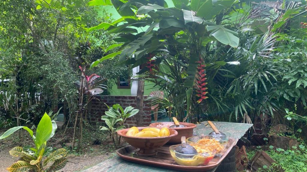 Forest Villa Nature Resort أنرادابورام المظهر الخارجي الصورة