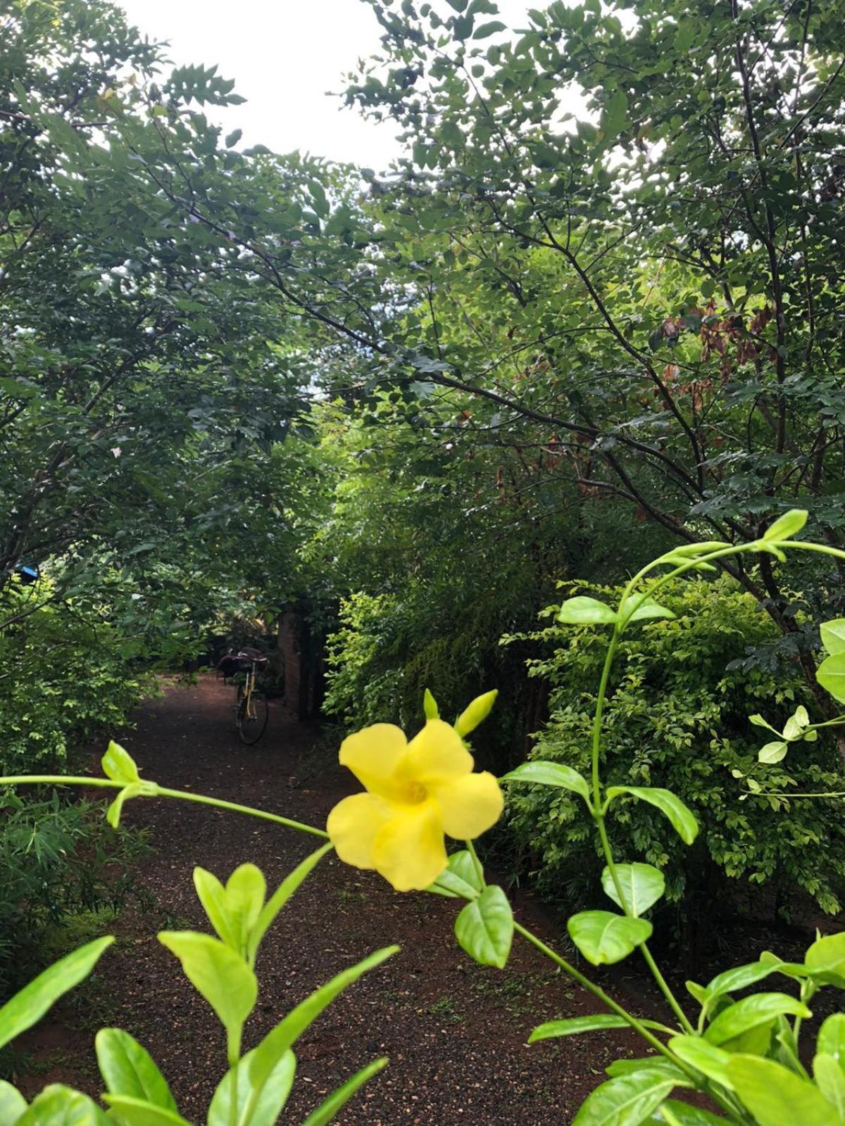 Forest Villa Nature Resort أنرادابورام المظهر الخارجي الصورة