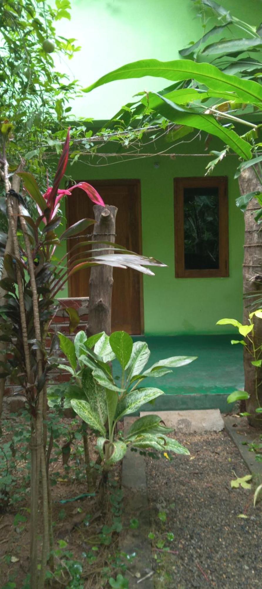 Forest Villa Nature Resort أنرادابورام المظهر الخارجي الصورة