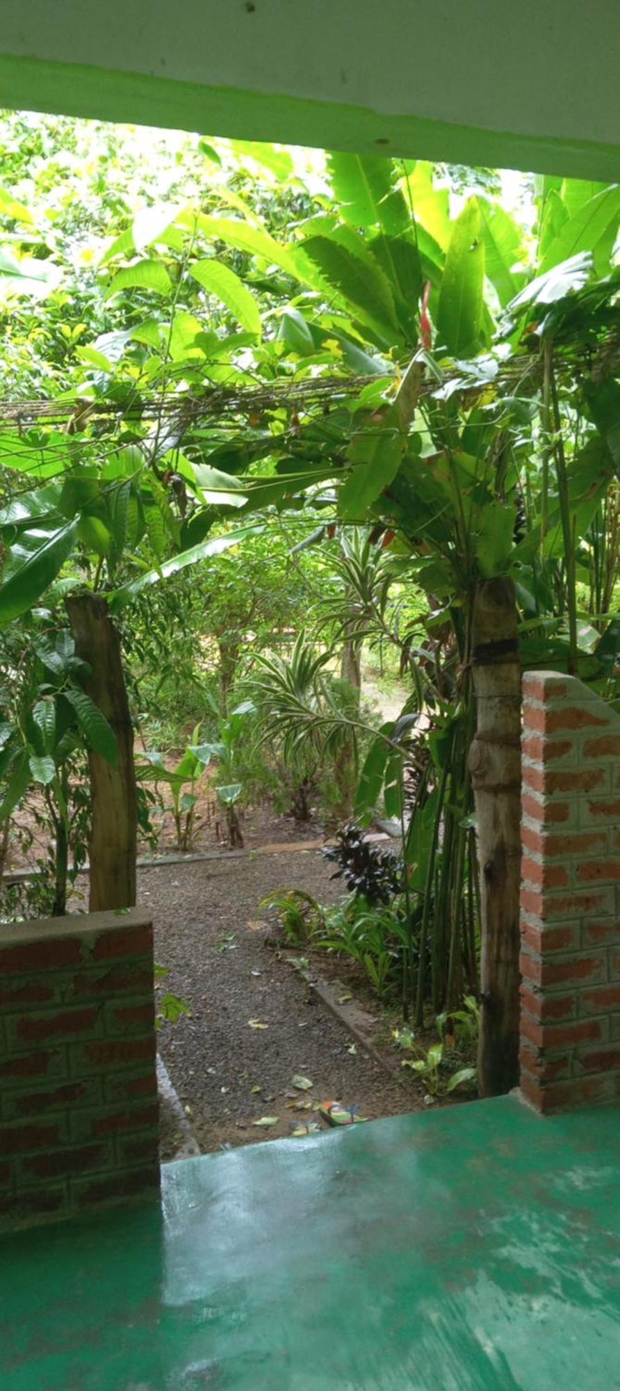 Forest Villa Nature Resort أنرادابورام المظهر الخارجي الصورة