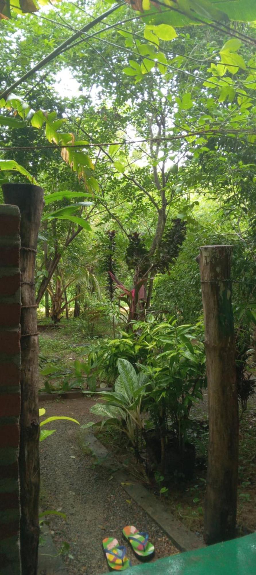 Forest Villa Nature Resort أنرادابورام المظهر الخارجي الصورة