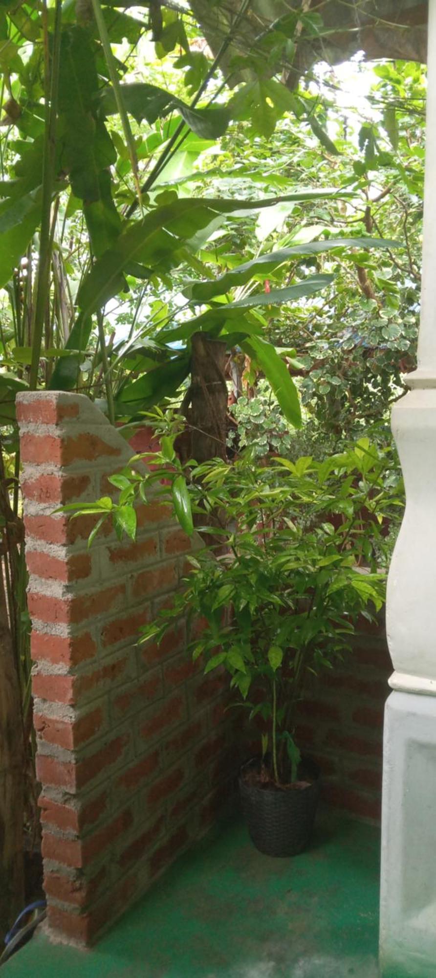Forest Villa Nature Resort أنرادابورام المظهر الخارجي الصورة