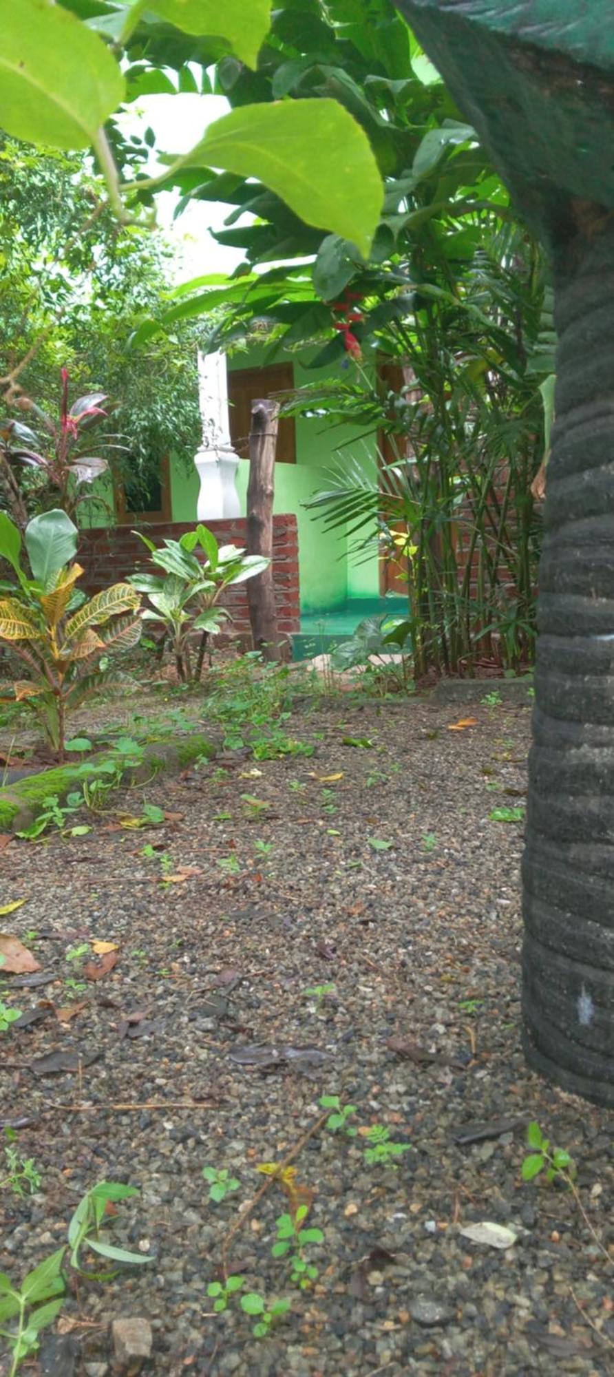Forest Villa Nature Resort أنرادابورام المظهر الخارجي الصورة