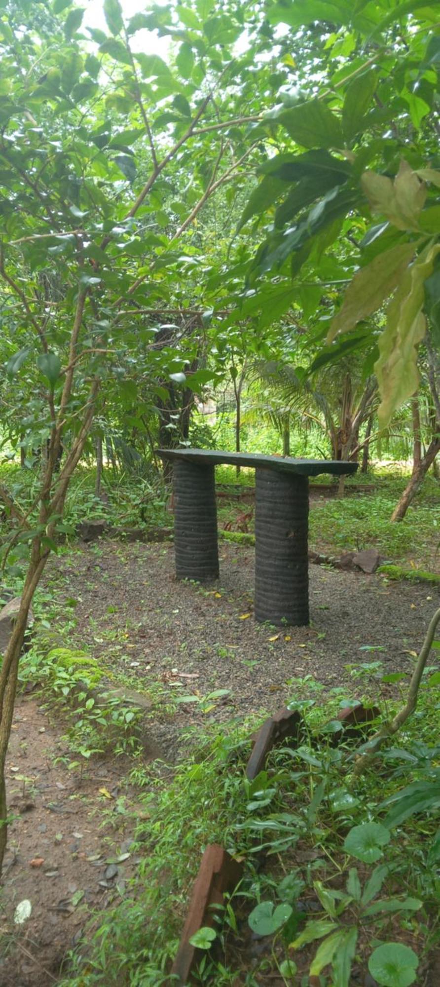 Forest Villa Nature Resort أنرادابورام المظهر الخارجي الصورة