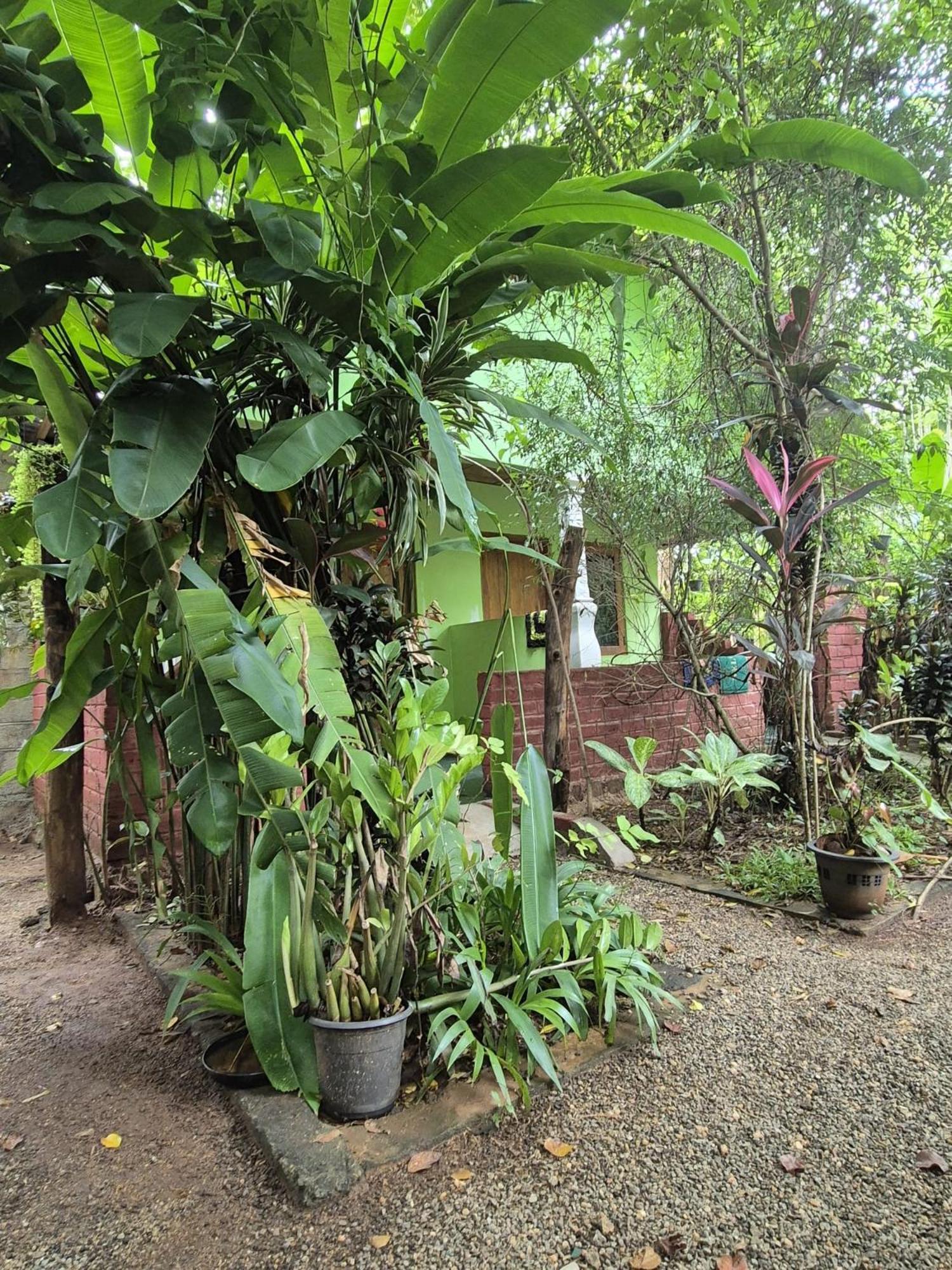 Forest Villa Nature Resort أنرادابورام المظهر الخارجي الصورة