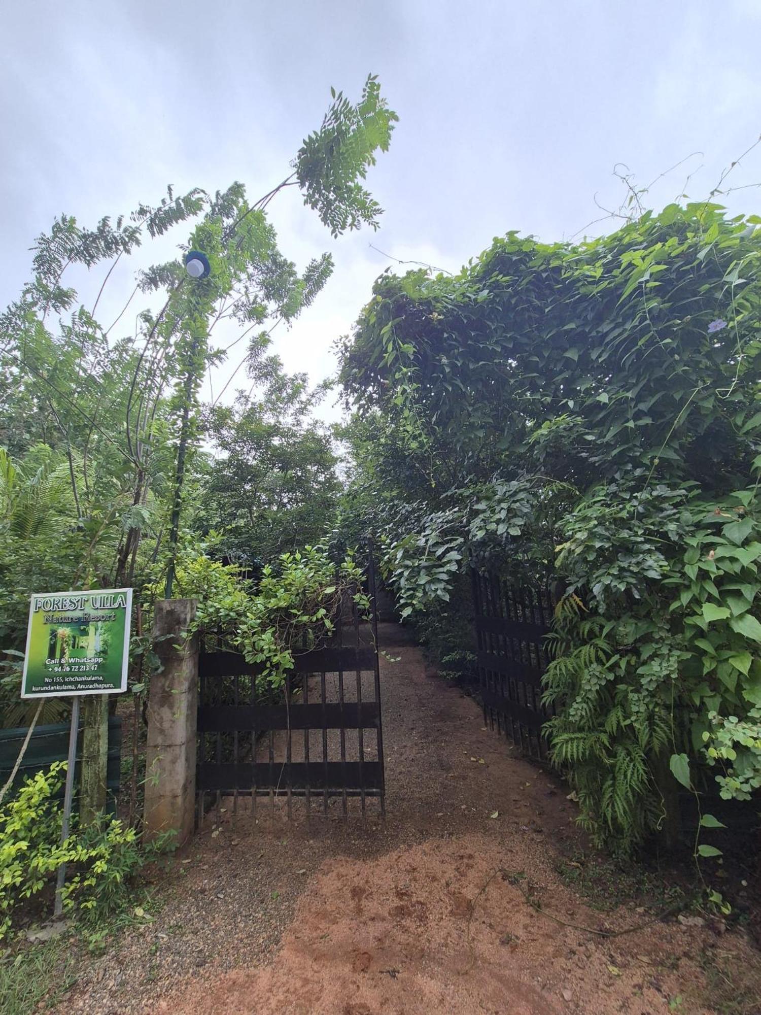 Forest Villa Nature Resort أنرادابورام المظهر الخارجي الصورة
